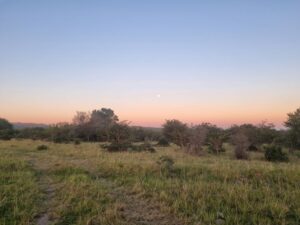 braaiwood img farm